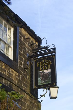 haworth black bull sm.jpg